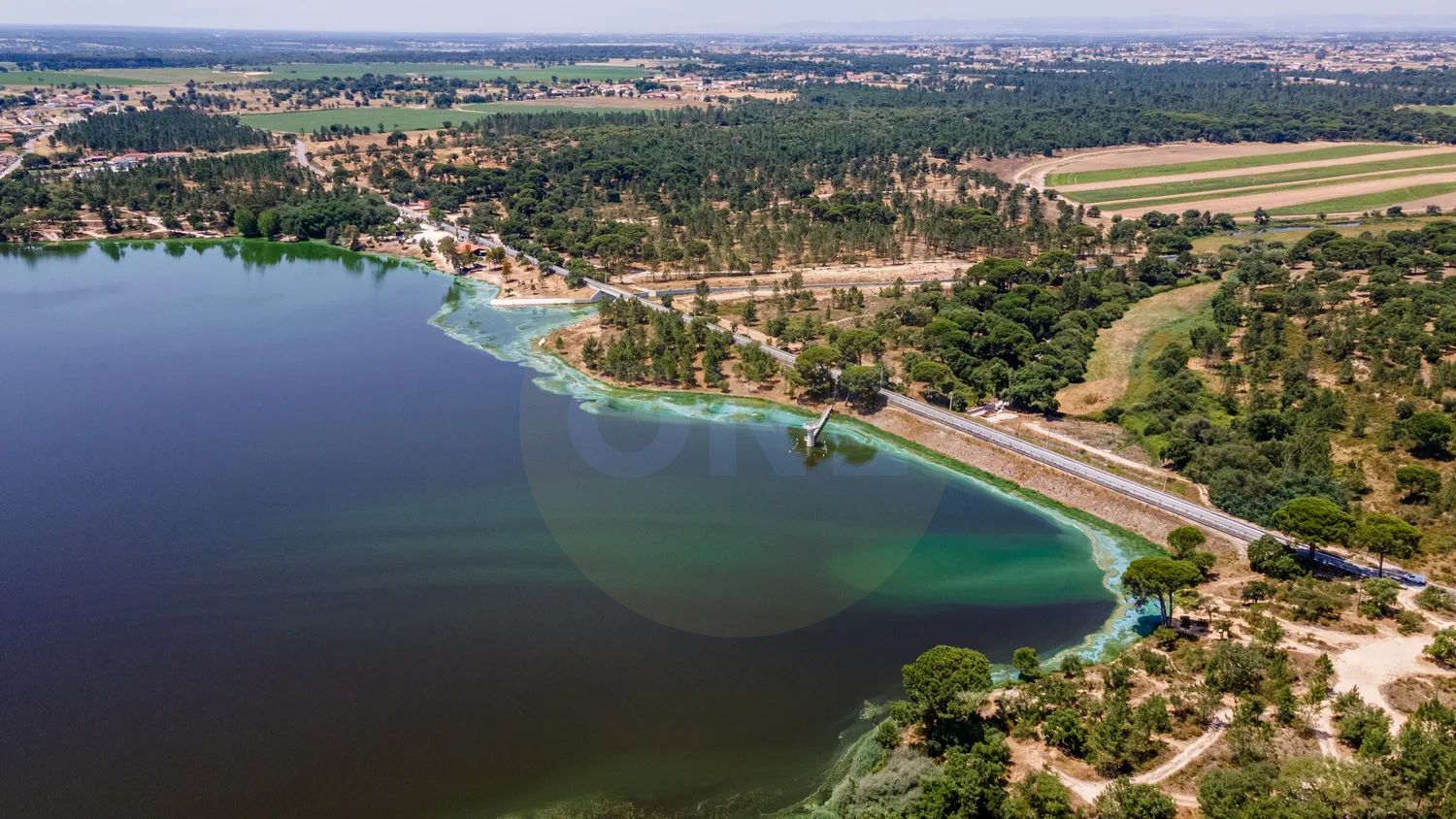 Moradia | Terreno de 5.000 m² | Junto à Barragem de Magos | Marinhais