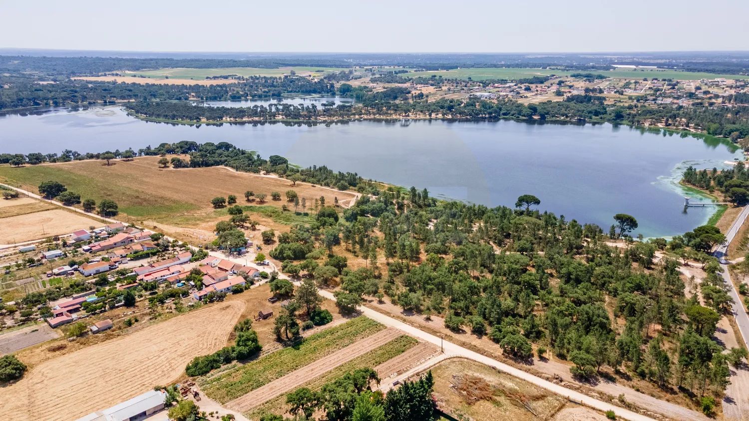 Moradia | Terreno de 5.000 m² | Junto à Barragem de Magos | Marinhais - 2