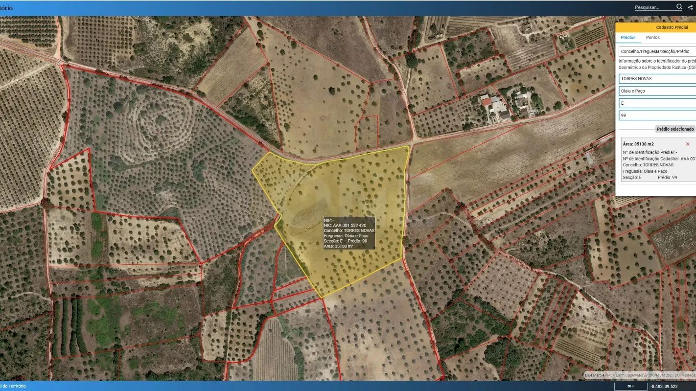 Terreno | Olival de 3ha em Olaia, Torres Novas