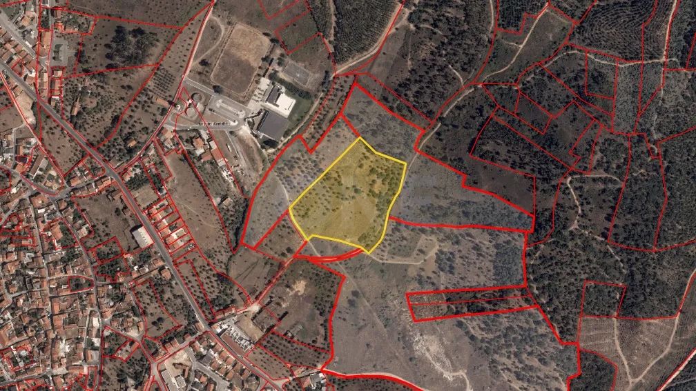 Terreno | 21.960 m² | Viabilidade construtiva | Vila Nova da Barquinha