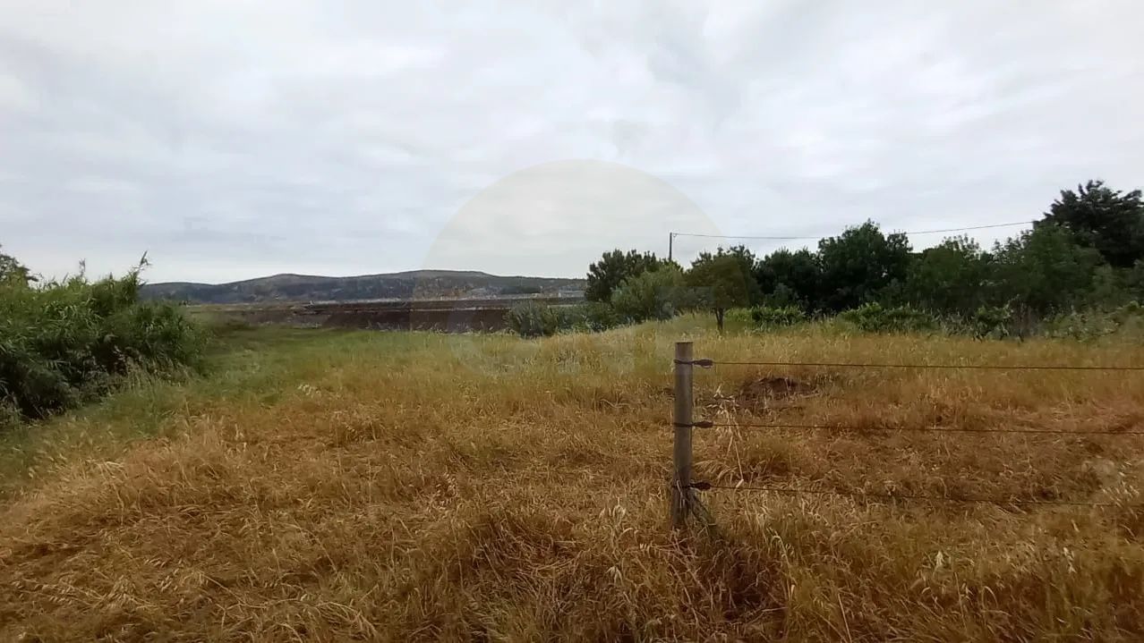 Terreno rústico | 8.160 m² | Casa de apoio T2 | Carregueira, Chamusca