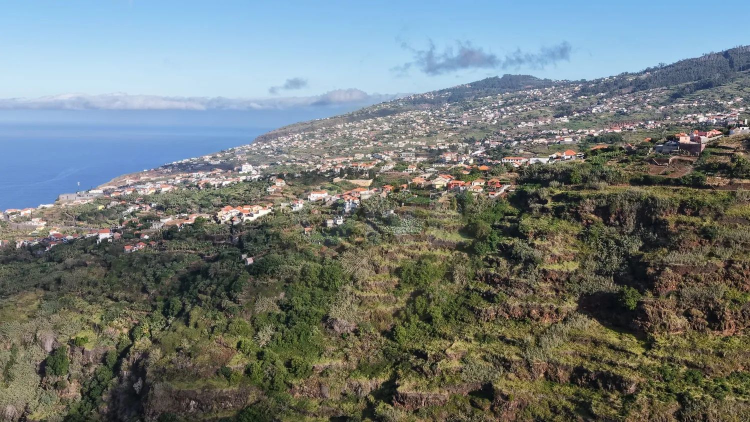 Terreno à venda Arco da Calheta - 2