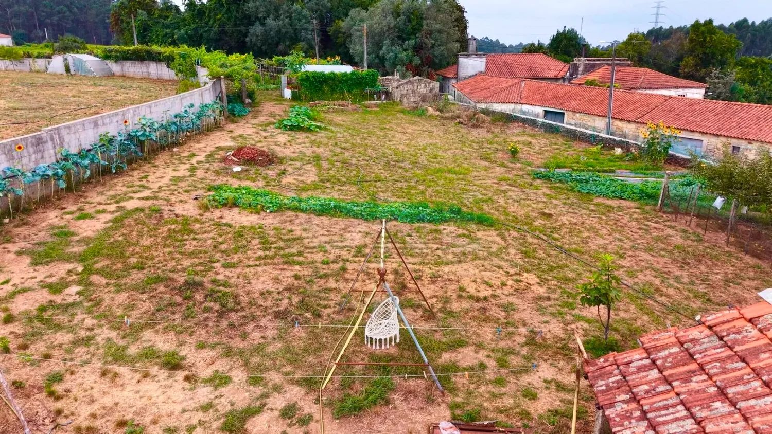 Terreno Rustico C/ viabilidade de construção com 1490M2 Vilar de Figos - 3