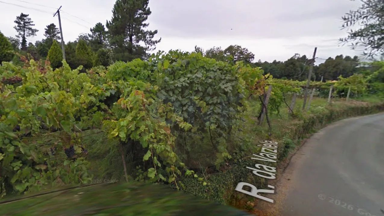 Moradia para Recuperar com 2.017 m² de Terreno Urbano | Famalicão - 2