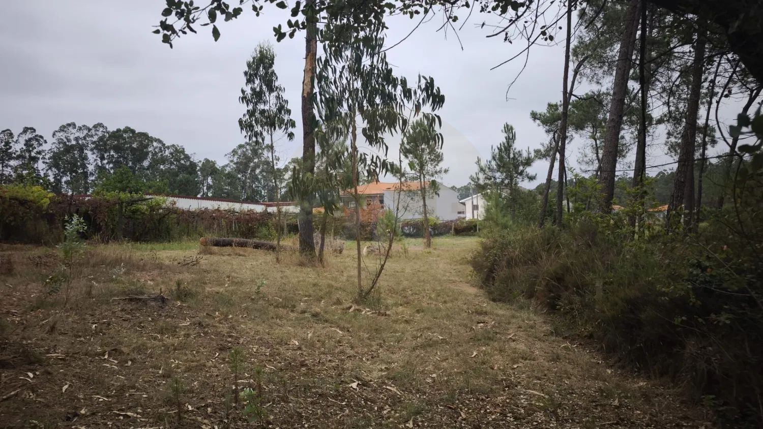 Terreno Rustico em Cristelo - 2