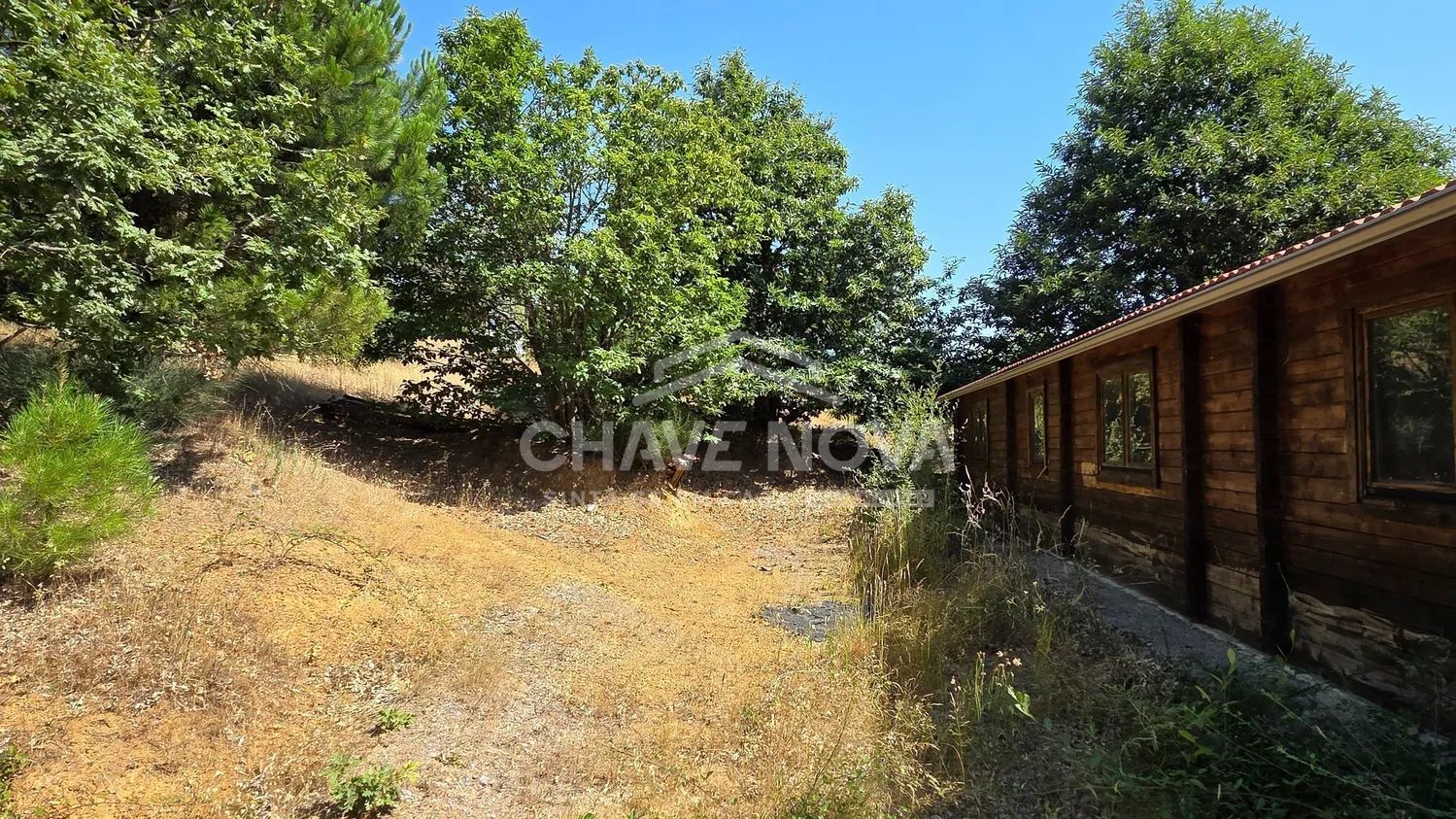 Quinta de 3,75 ha c/ Casas T3 e T1 em Madeira, Souto e Plantações - Vinhais - 2