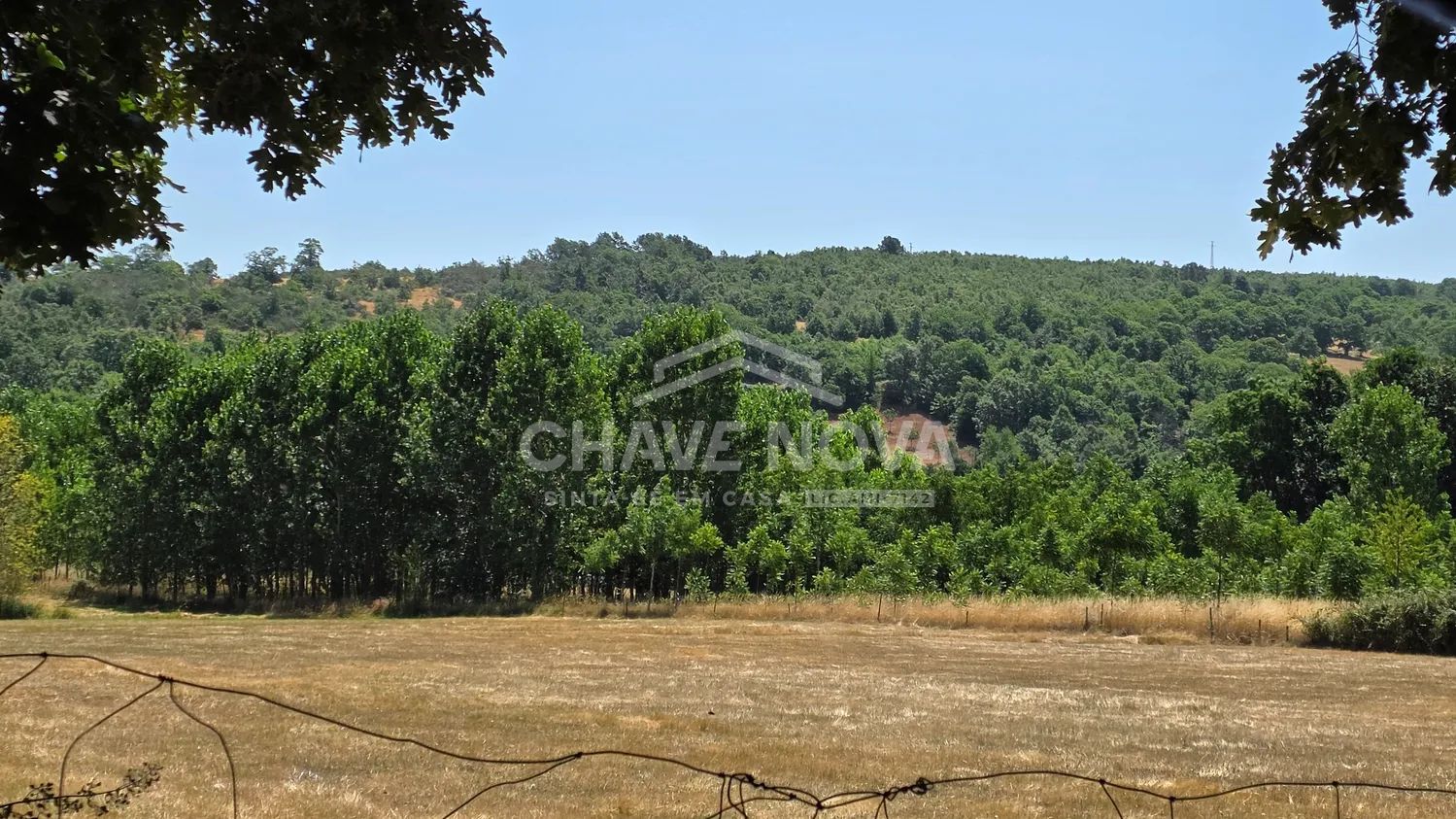 Investimento Florestal e Agrícola 3,2 ha - Vinhais