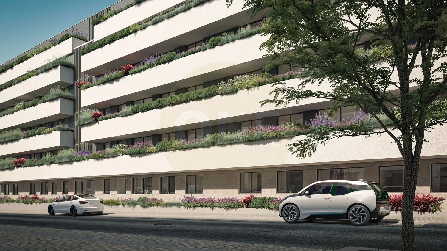 T4 São João Premium