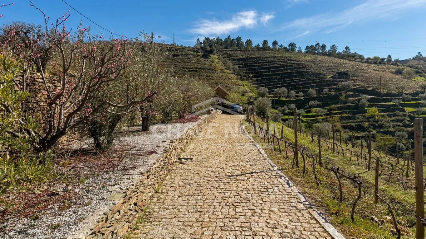 UMA QUINTA PARA VIVER O DOURO