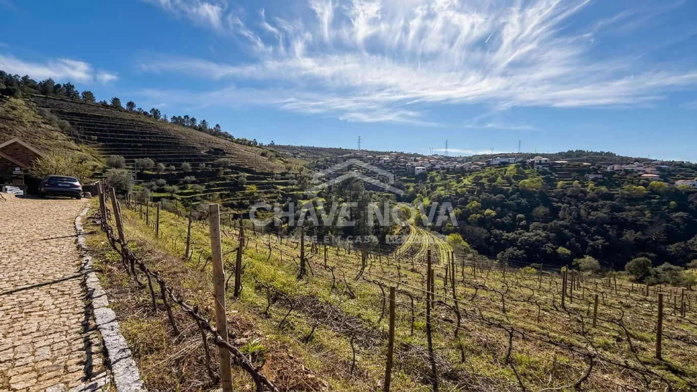 UMA QUINTA PARA VIVER O DOURO - 2