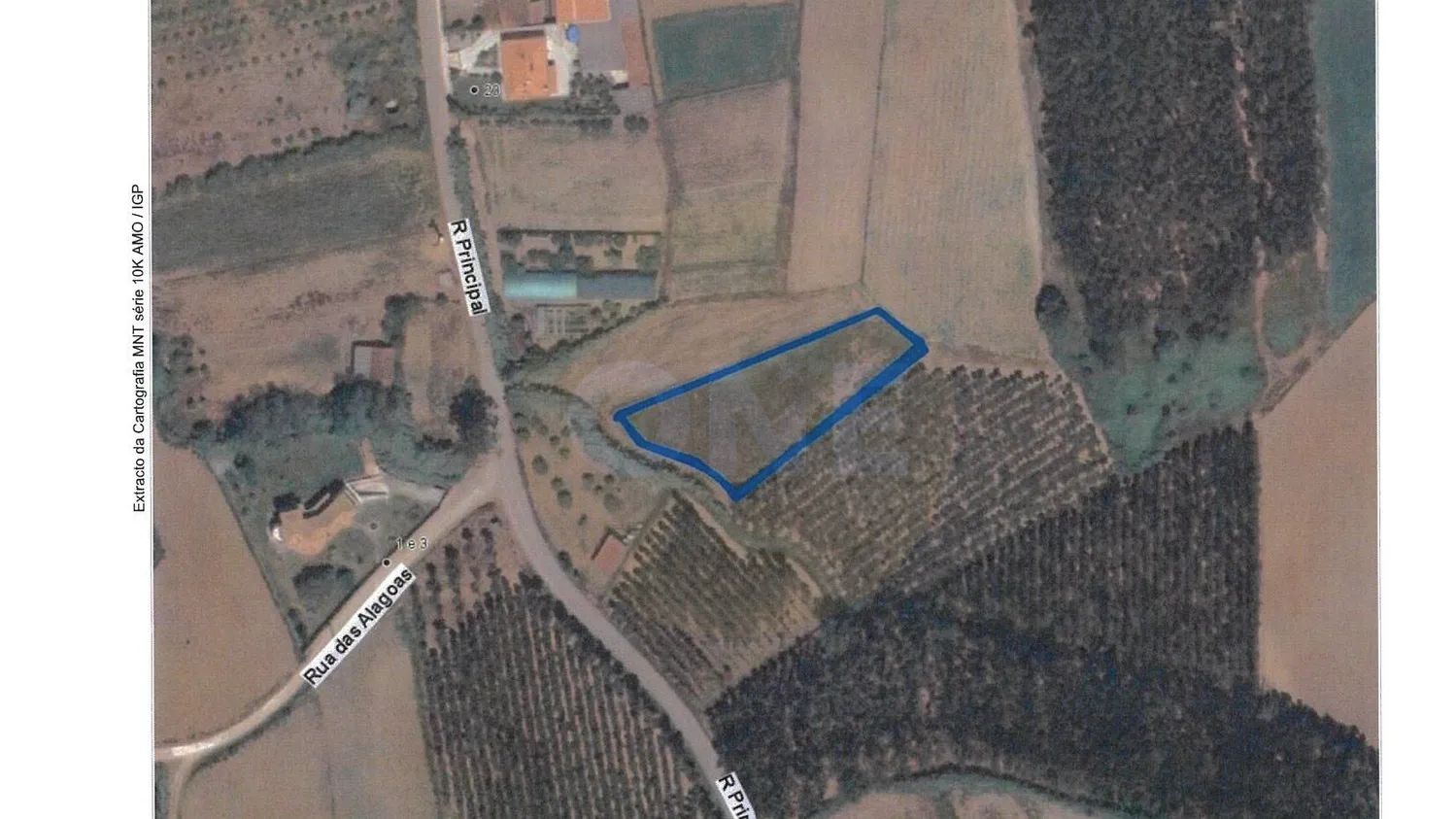 Terreno rústico com 6.200 m² em zona tranquila - Lourinhã