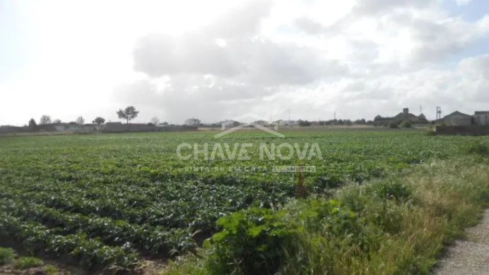 Terreno Misto no Montijo