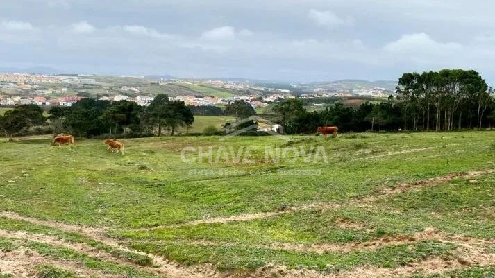 Terreno rustico em Torres Vedras
