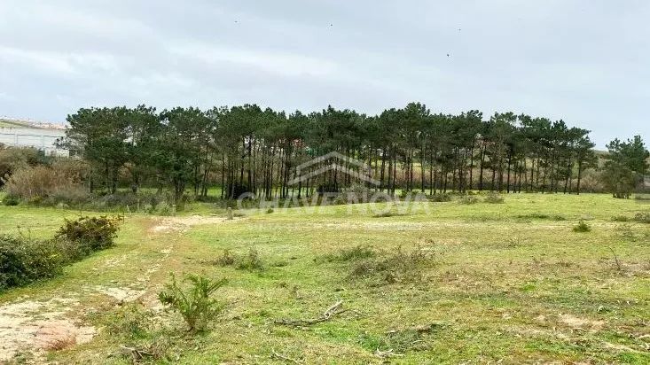 Terreno rustico em Torres Vedras - 2