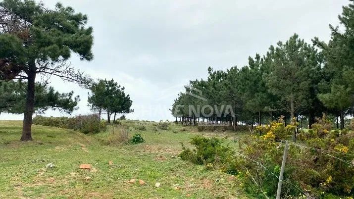 Terreno rustico em Torres Vedras - 3