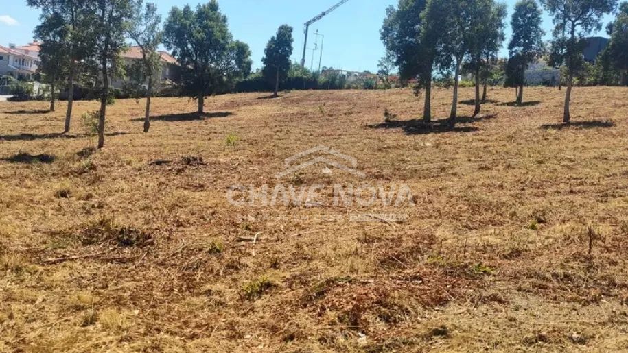 Terreno Urbano | 9.806 M² | Marco de Canaveses  - 2