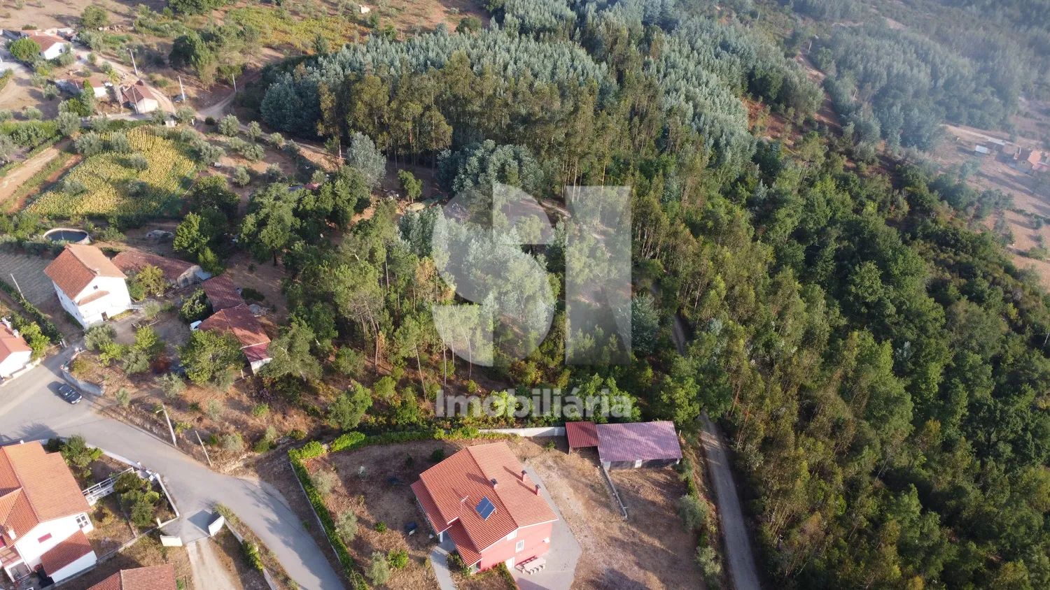 3 TERRENOS RUSTICOS COM 6500 M2 - 2