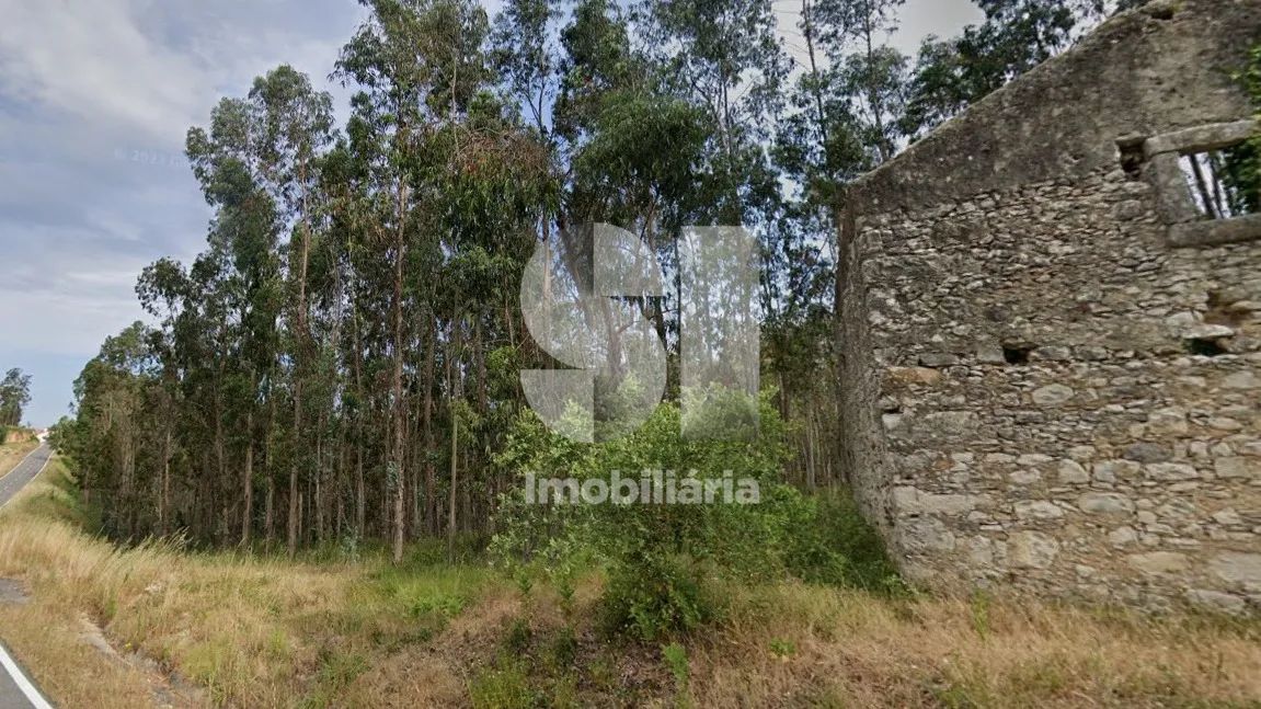 Terreno rústico em Cantanhede
