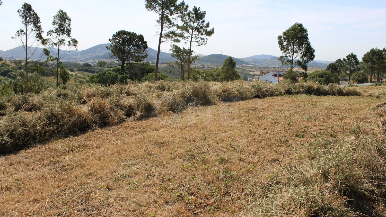 Terreno com 6.249 m², possibilidade de Construção | Igreja Nova, Mafra - 3