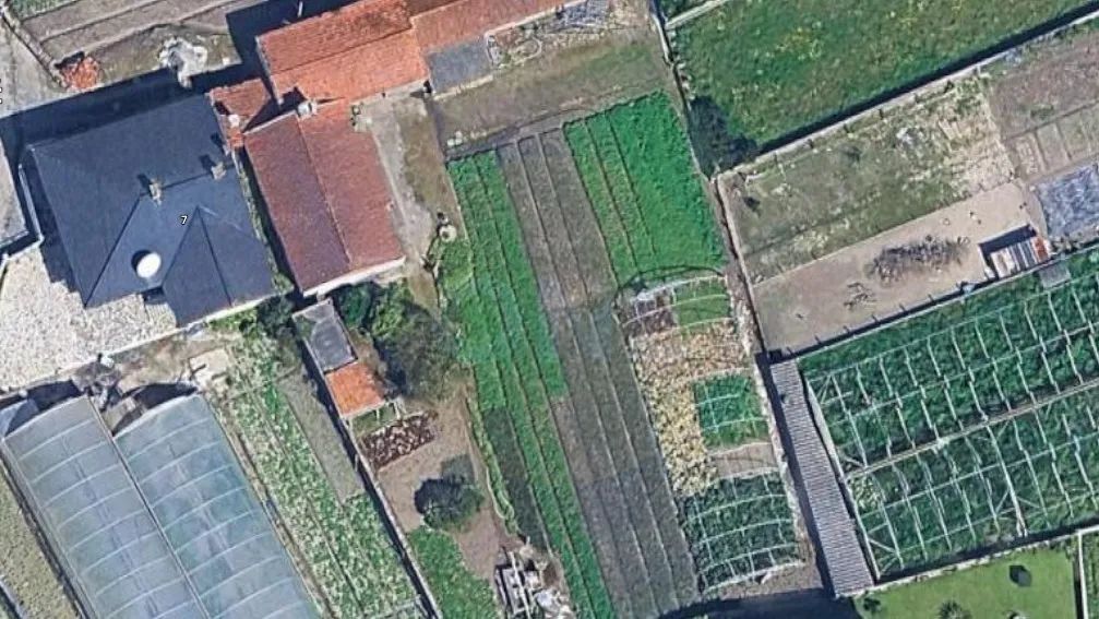 Moradia Térrea em Navais