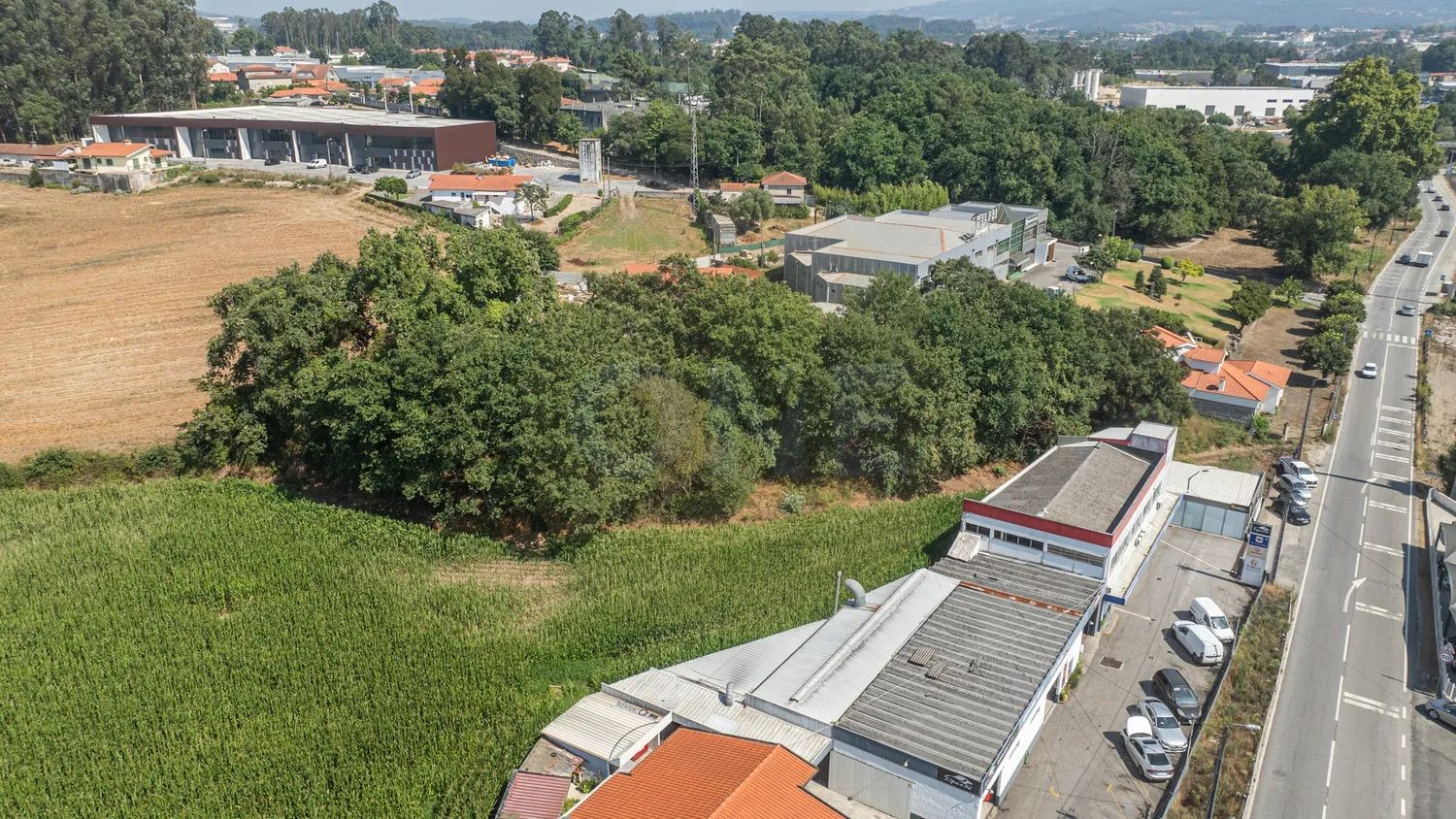 Terreno de grande dimensão com capacidade edificativa e área agrícola - 3