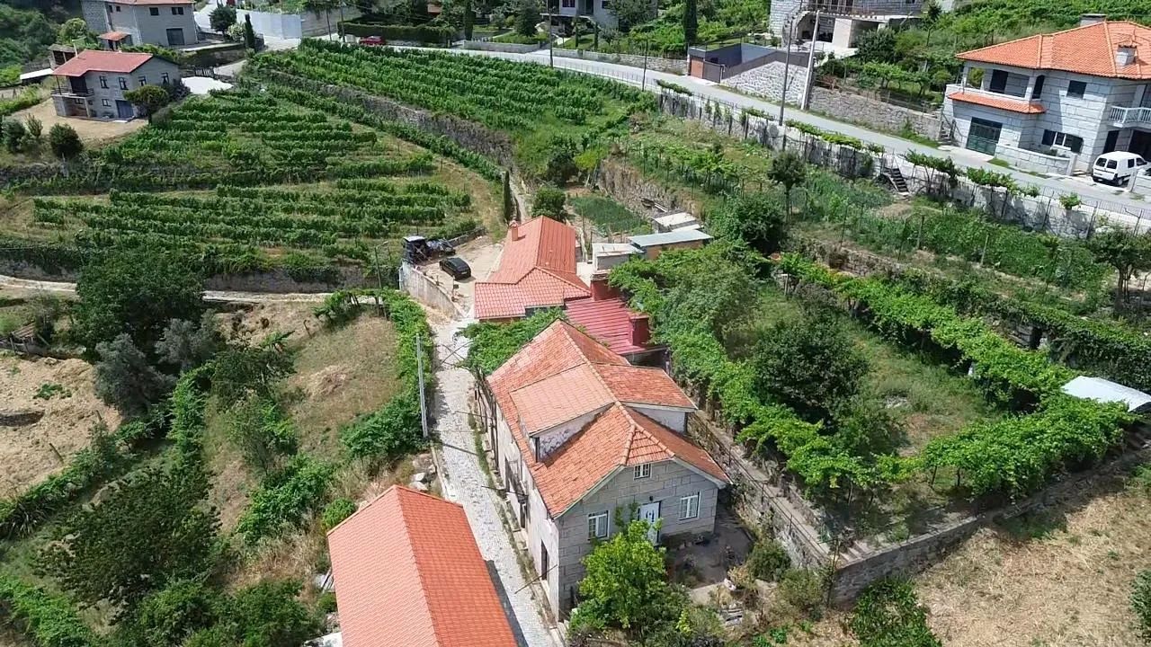 Quintinha Encantadora com Casa em Pedra