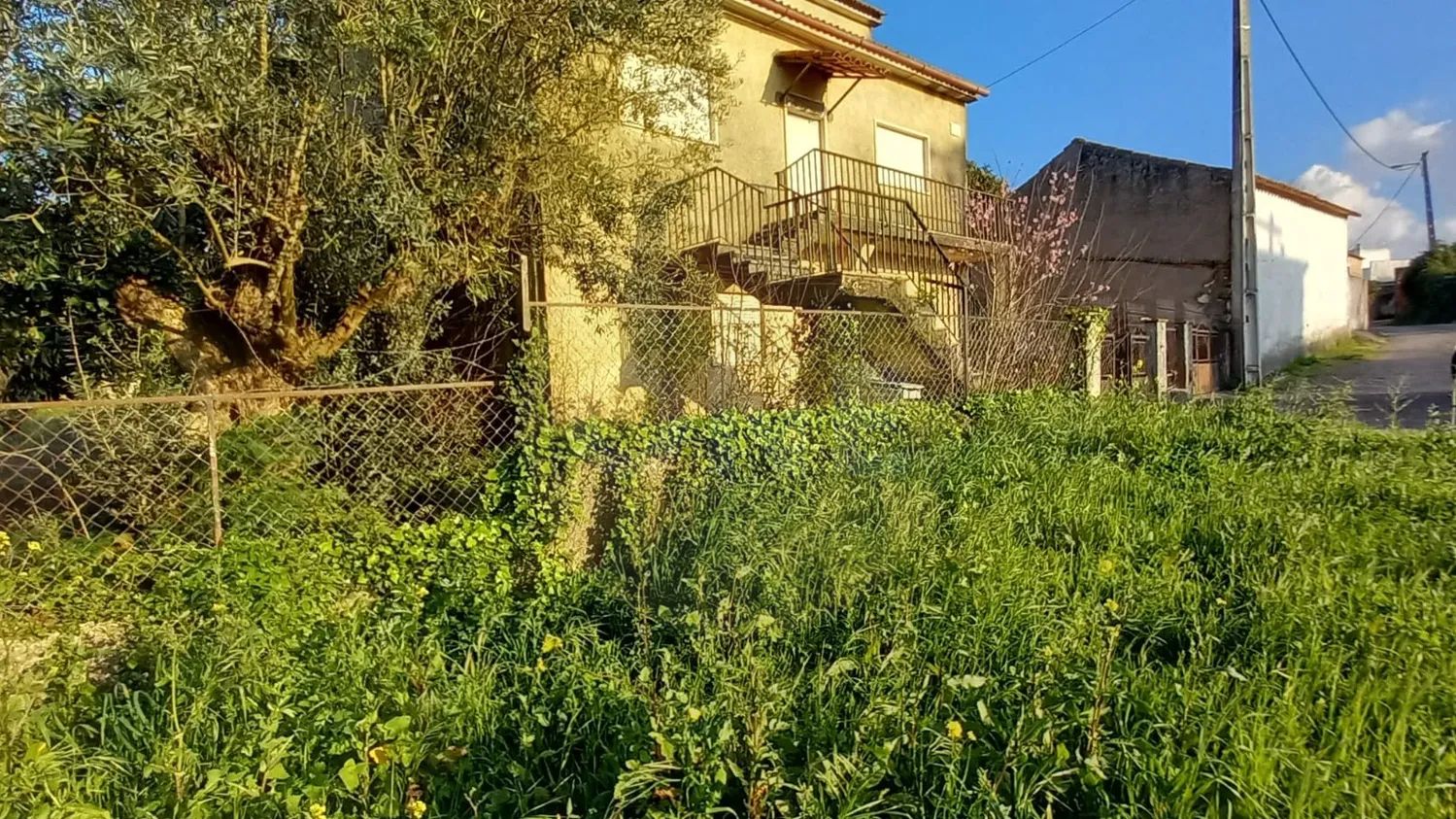 Moradia T5 | Terreno de 2880m2 | Árgea