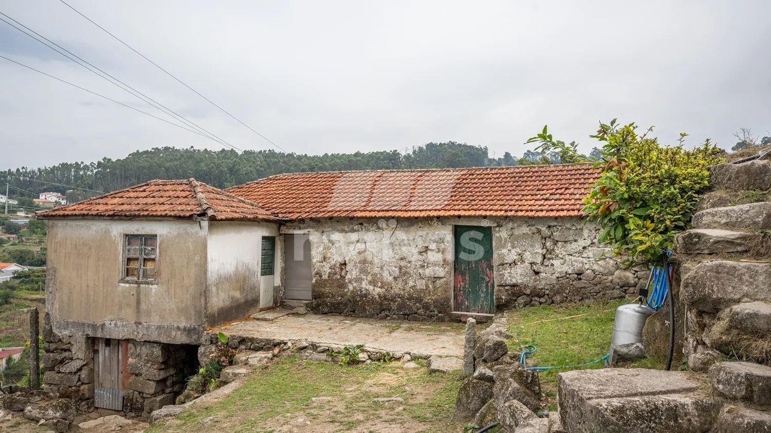 Quintinha em Roriz | Santo Tirso