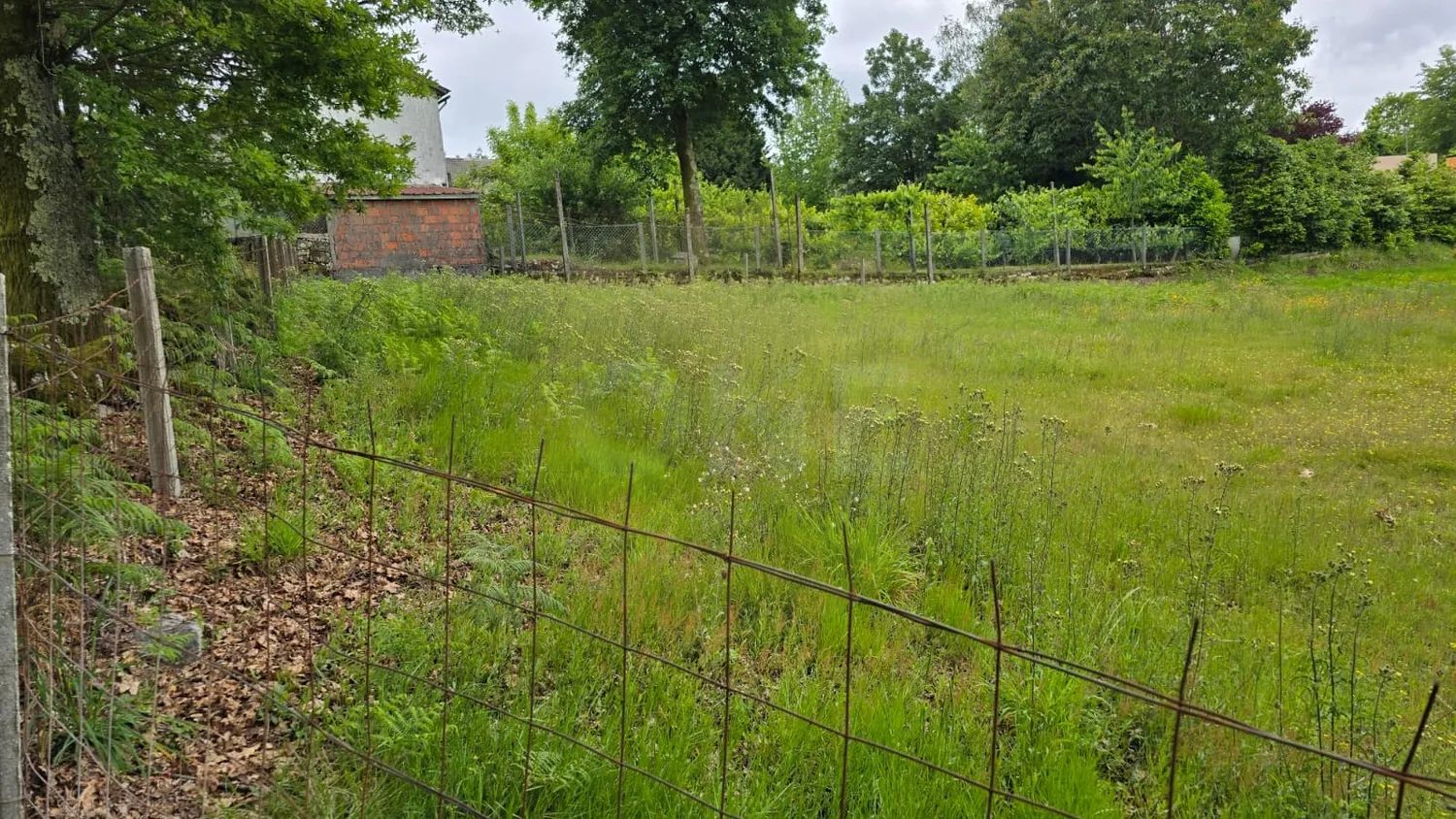 Terreno - 3