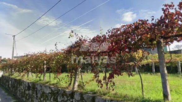 Terreno para Construção com 710 m² | Soajo (Veiga de Bairros), Arcos de Valdevez - 3
