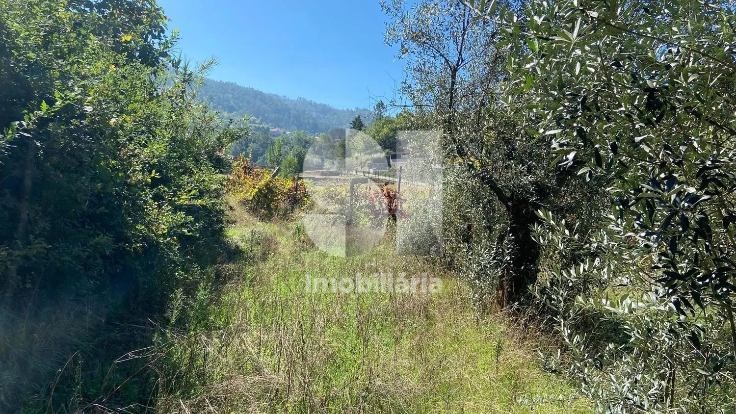 TERRENO PARA CONSTRUÇÃO EM FIGUEIREDO - AROUCA - 2