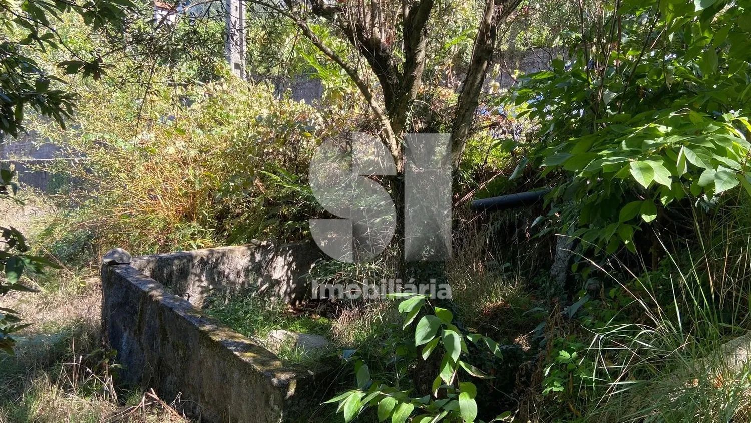 TERRENO PARA CONSTRUÇÃO EM FIGUEIREDO - AROUCA - 3