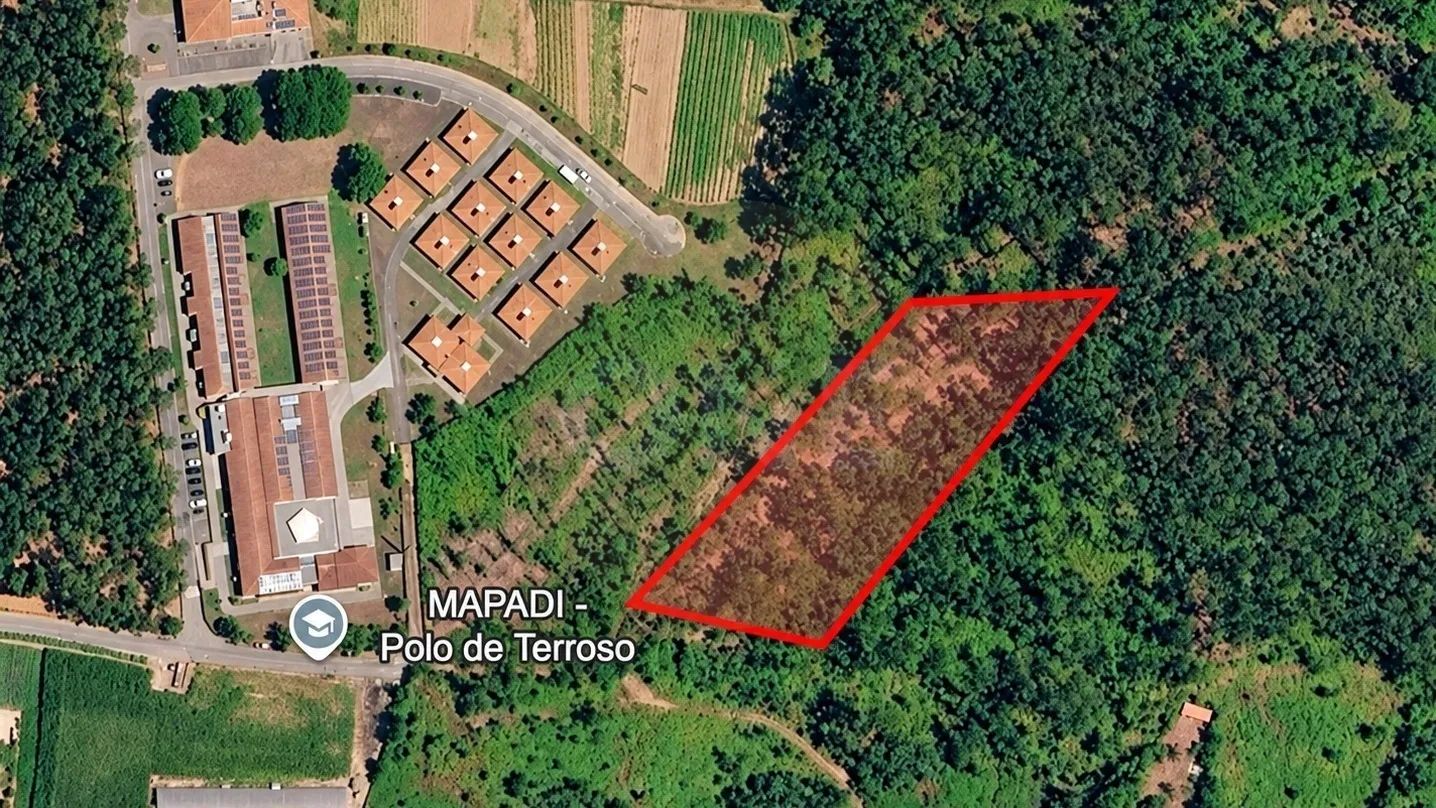 Bouça em Terroso com 4661 m2