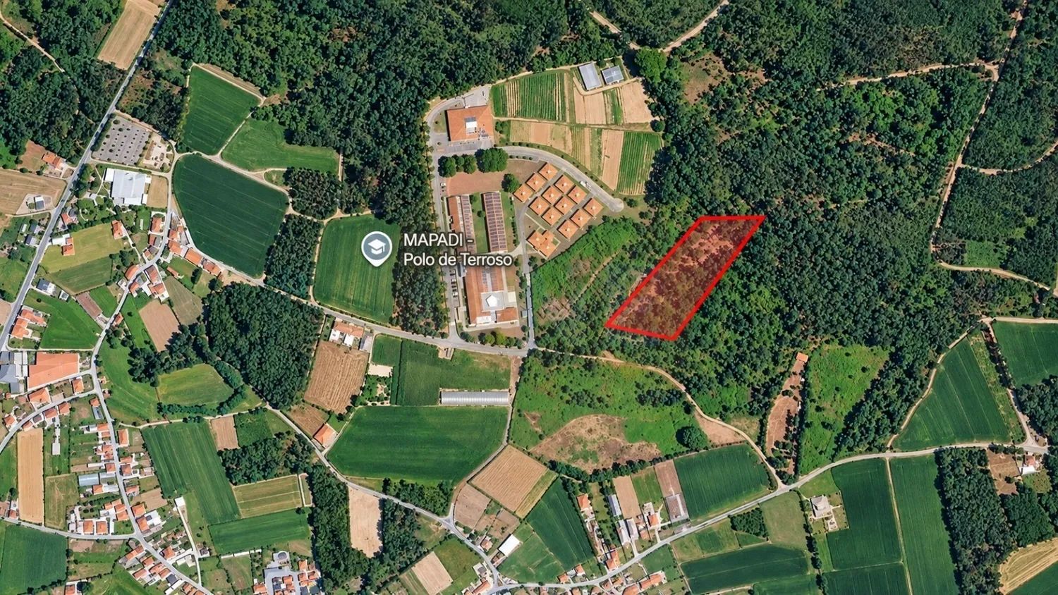 Bouça em Terroso com 4661 m2 - 3