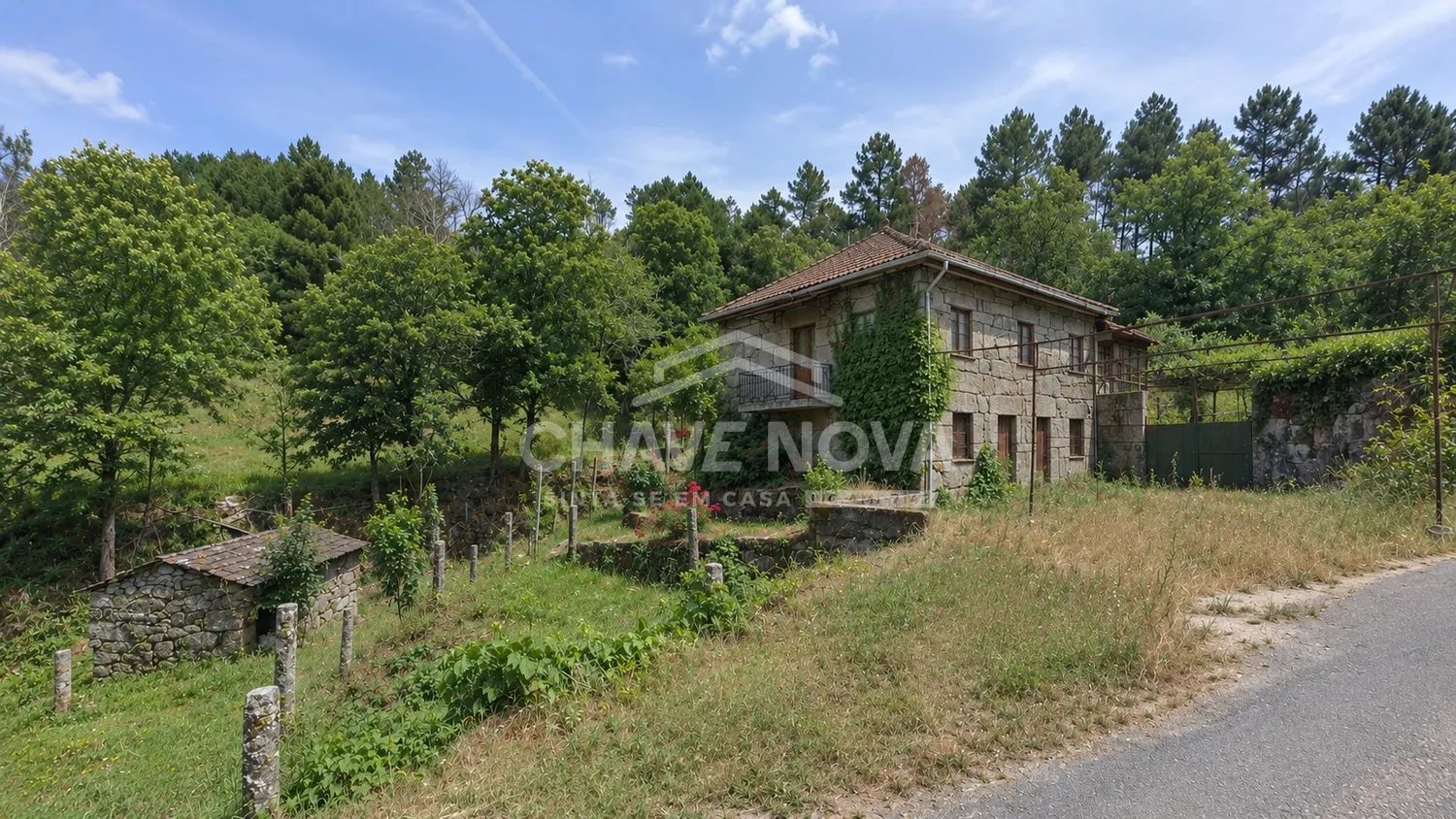 Terrenos com casa rustica OPORTUNIDADE DE INVESTIMENTO | BORNES DE AGUIAR – VILA POUCA DE AGUIAR  - 3