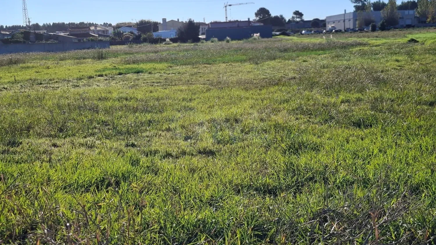 Terreno com 10.928 m² e PIP  favorável para 17 lotes.  - 3