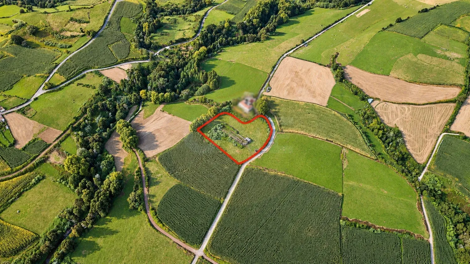 Terreno Rústico com 8.363 m² e Início de Construção Agropecuária – Lomba do Pomar - 2