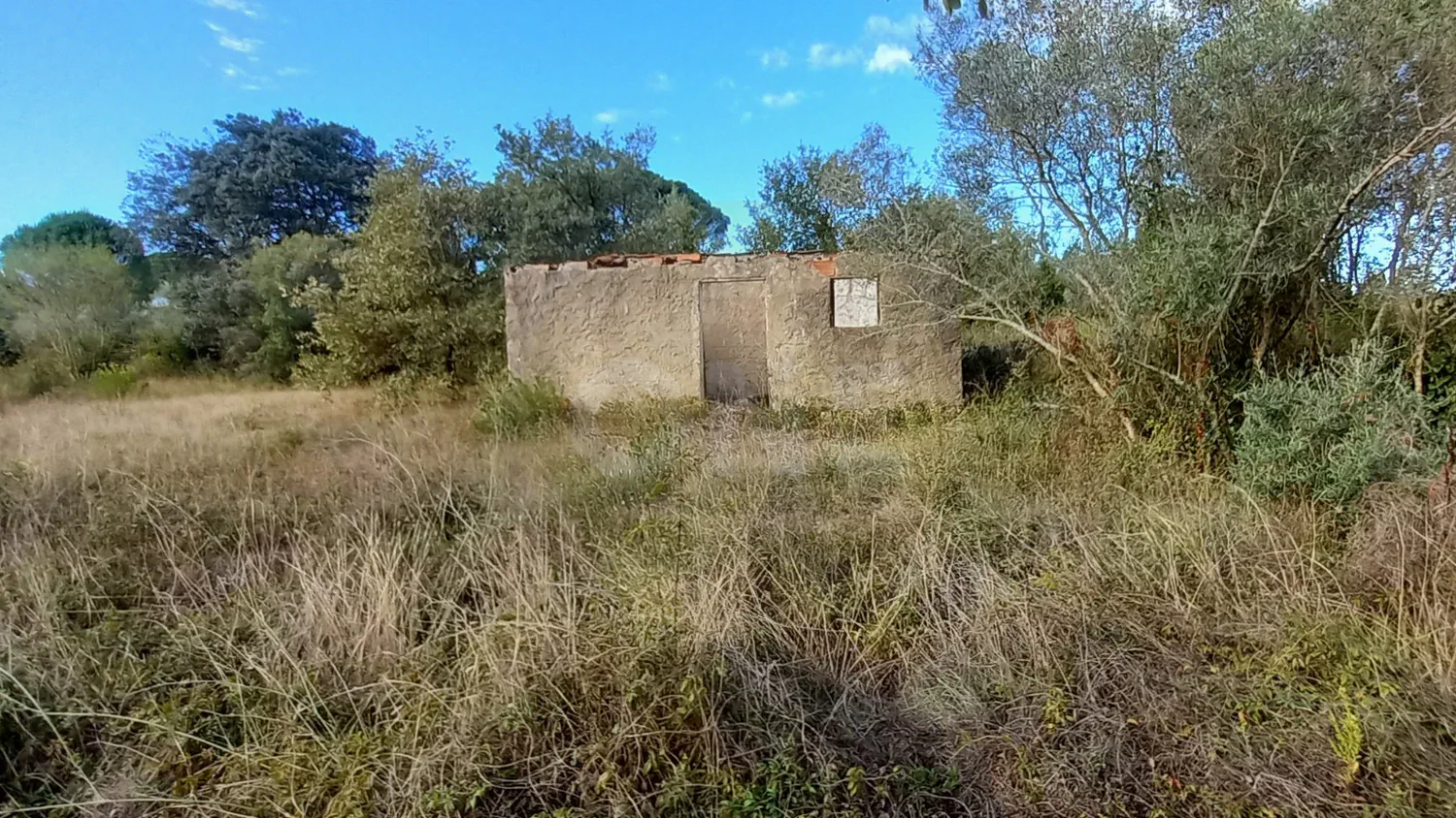 Terreno rústico | + 5000m2 | Lamarosa, Torres Novas