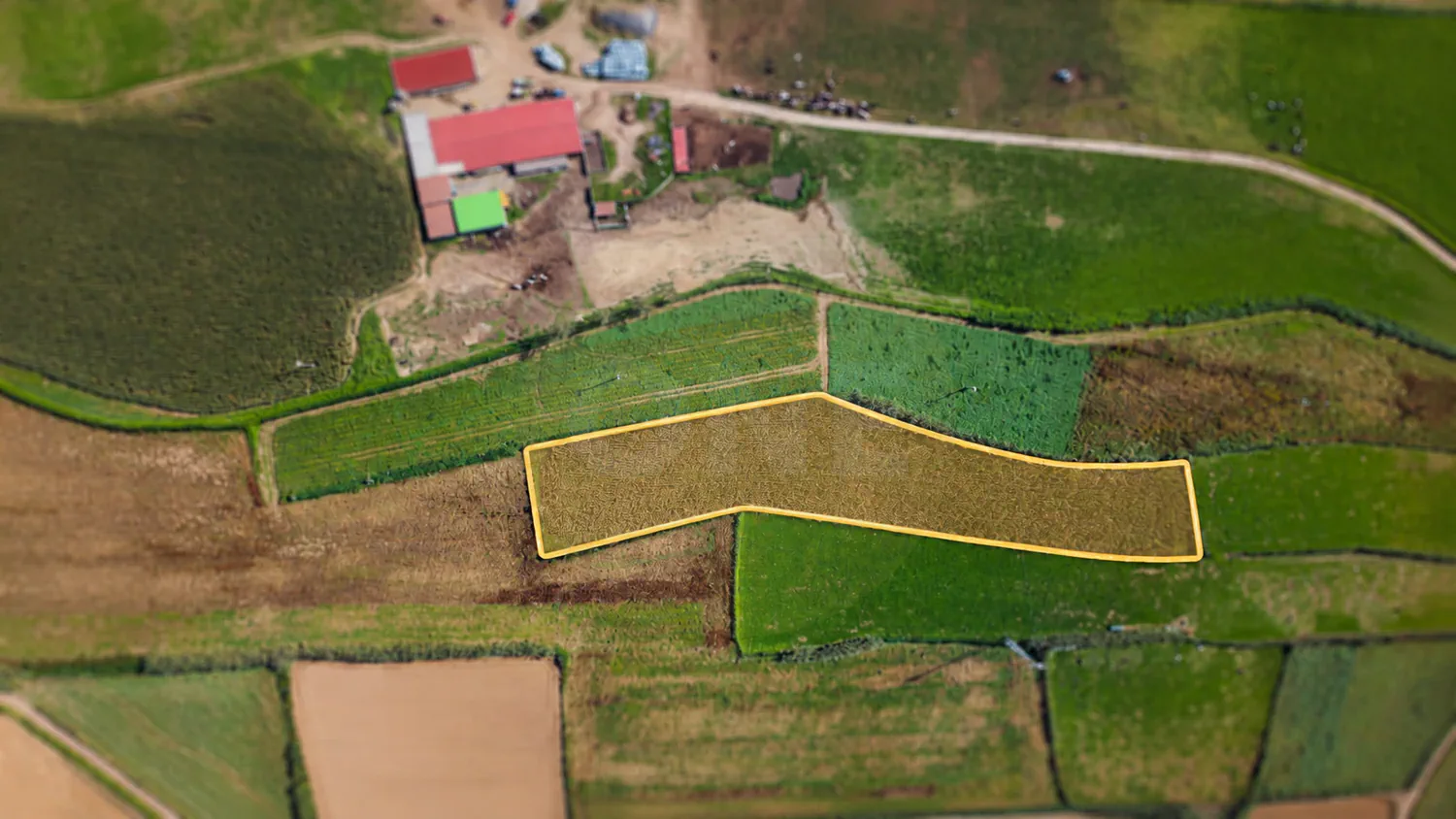 Terreno com 7.360 m², localizado em Água de Pau, no concelho da Lagoa, Ilha de São Miguel. - 2