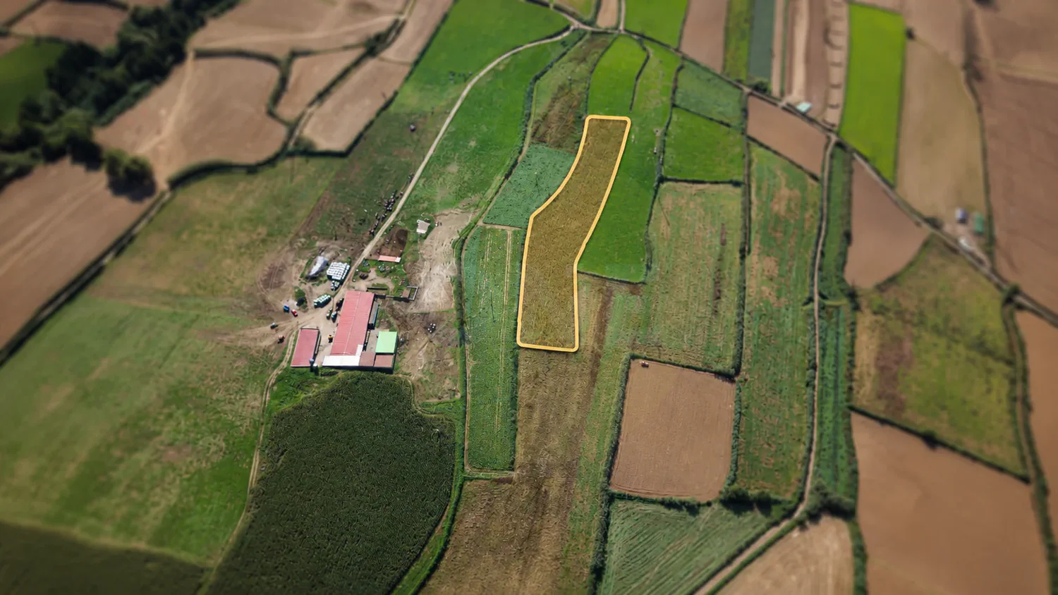 Terreno com 7.360 m², localizado em Água de Pau, no concelho da Lagoa, Ilha de São Miguel. - 3