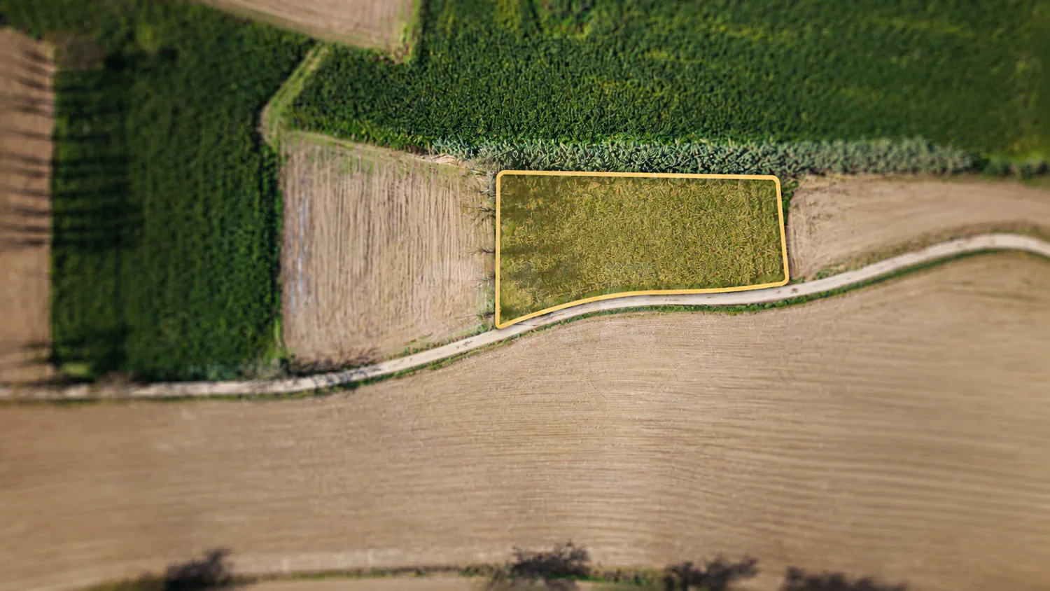 Terreno com 1.880 m², localizado em Água de Pau, no concelho da Lagoa, Ilha de São Miguel. - 2