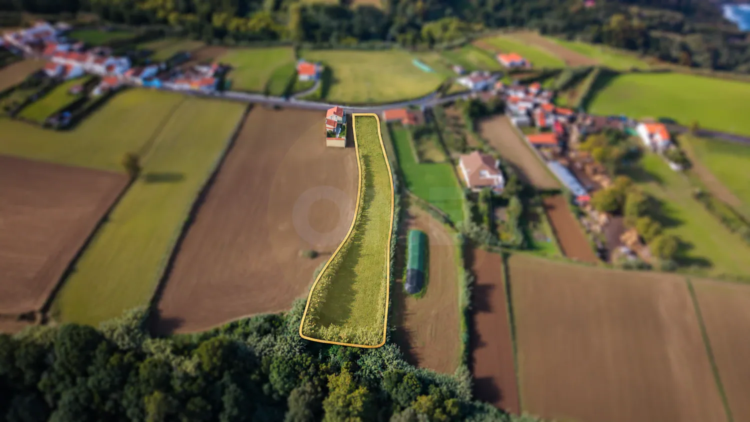 Terreno de 2.900 m² com Vista Mar e Potencial de Construção – Lomba da Maia - 3