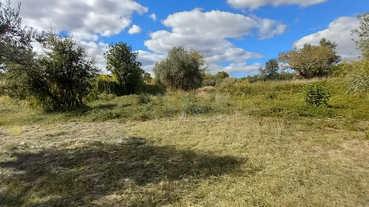 Terreno Rústico | + 1800 m2 | Lamarosa, Torres Novas - 2