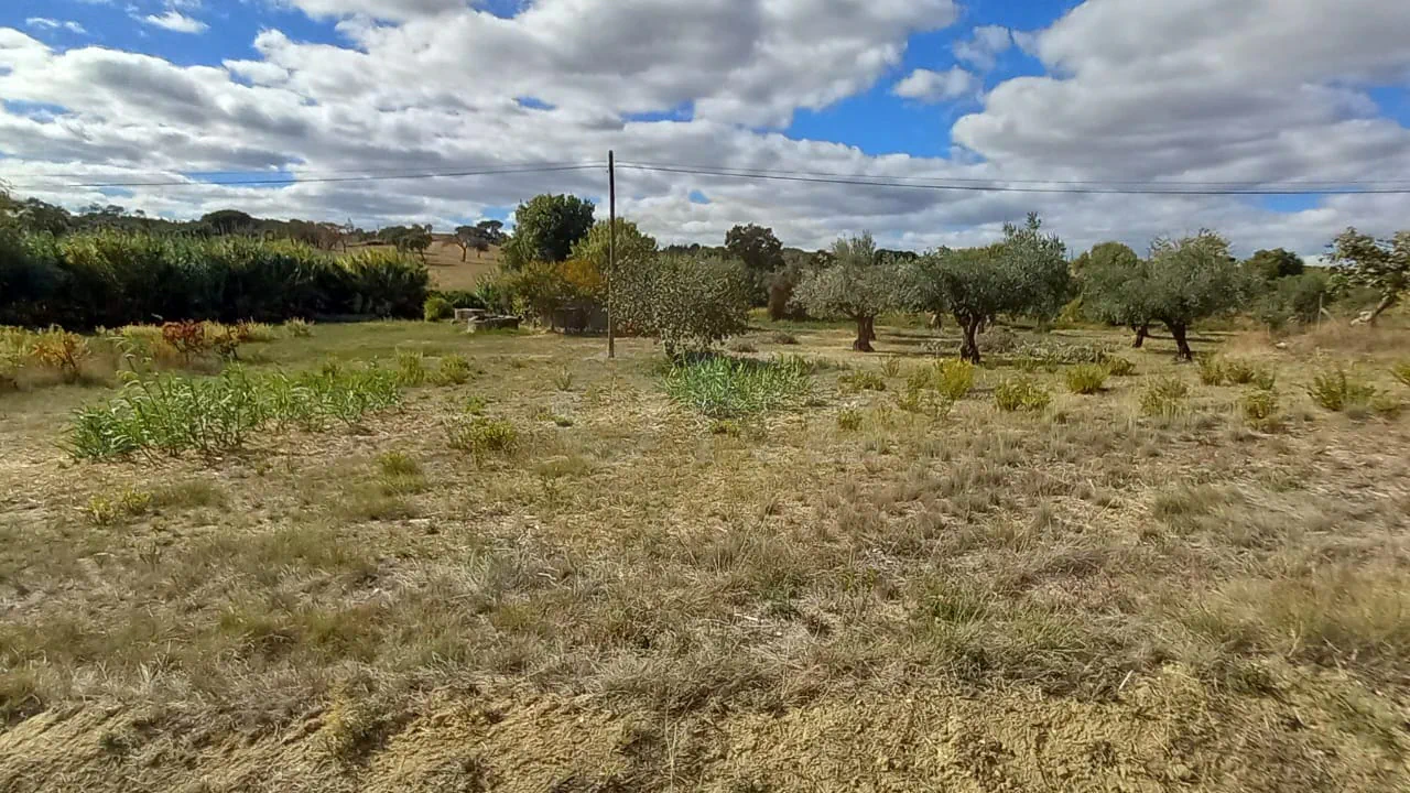 Terreno Rústico | + 1800 m2 | Lamarosa, Torres Novas